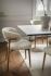 CALLIGARIS STOLIČKA OLEANDRO WOOD